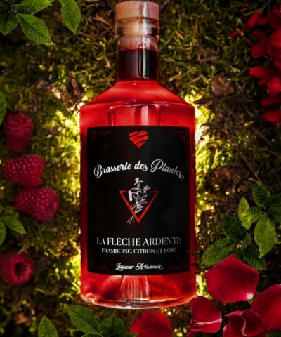 Alternative view of LA FLÈCHE ARDENTE